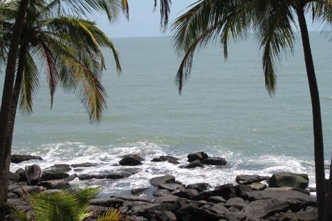 Guyana Rum Distilleries - Cask Trade