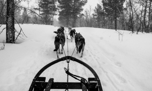 Coby sledding 