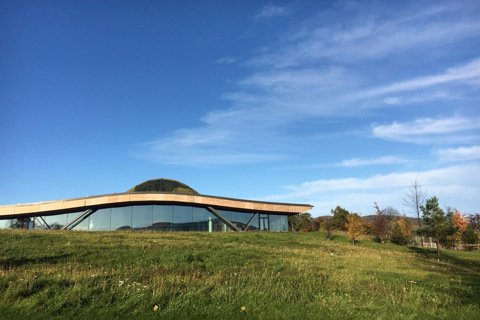 The Macallan Distillery Whisky Cask Trade